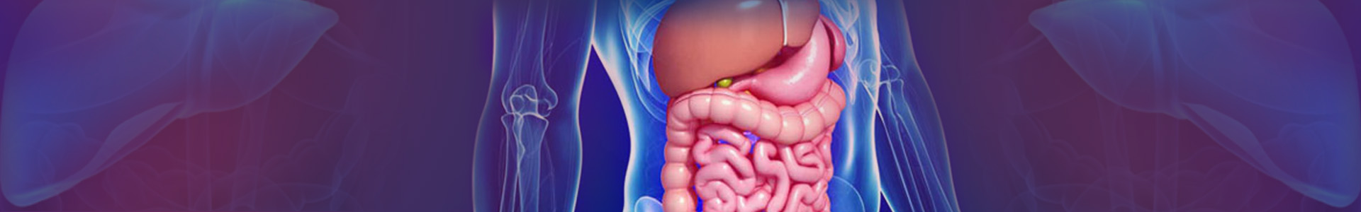 Annals of Gastroenterology and Digestive Disorders banner