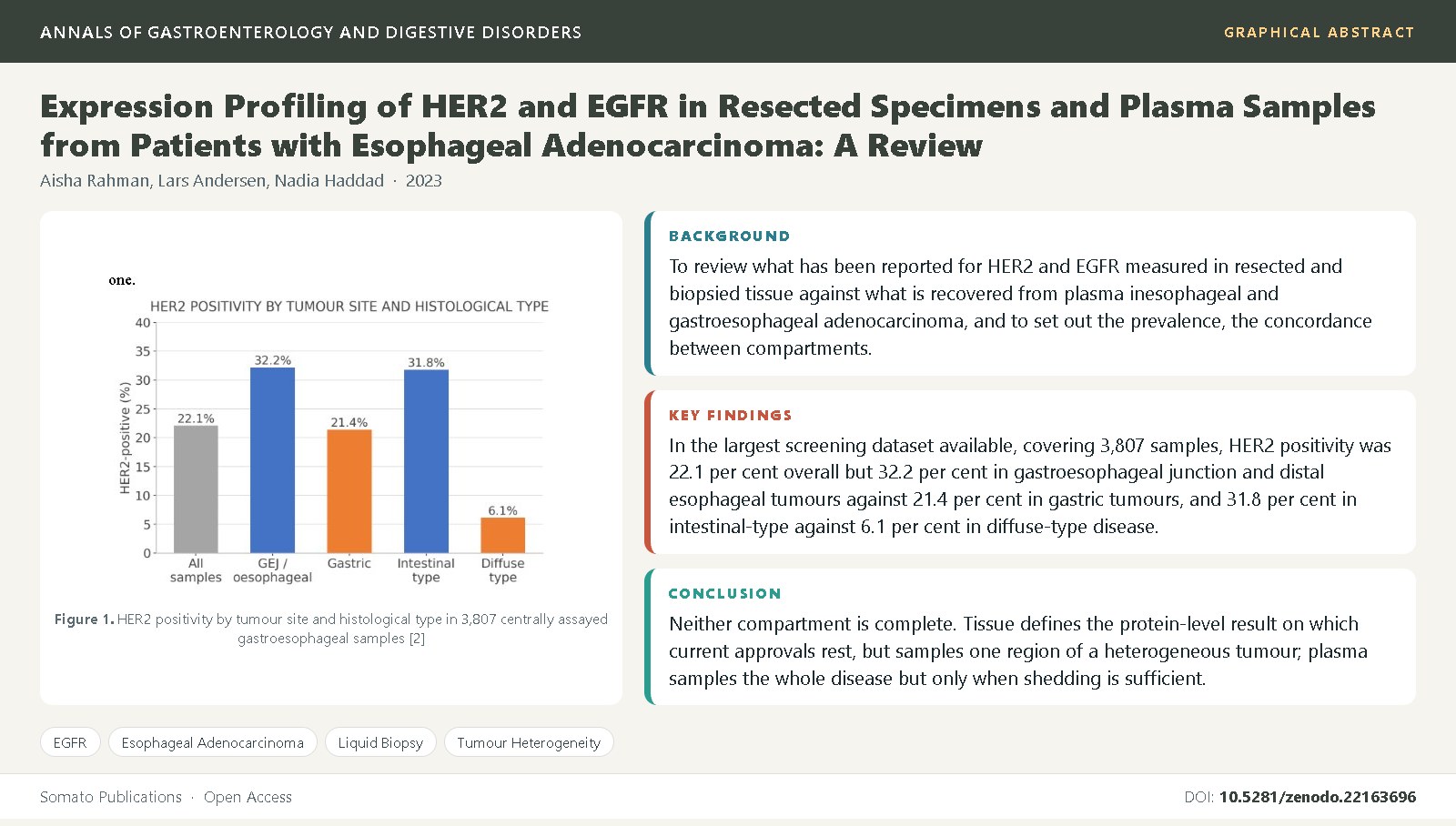 Graphical abstract