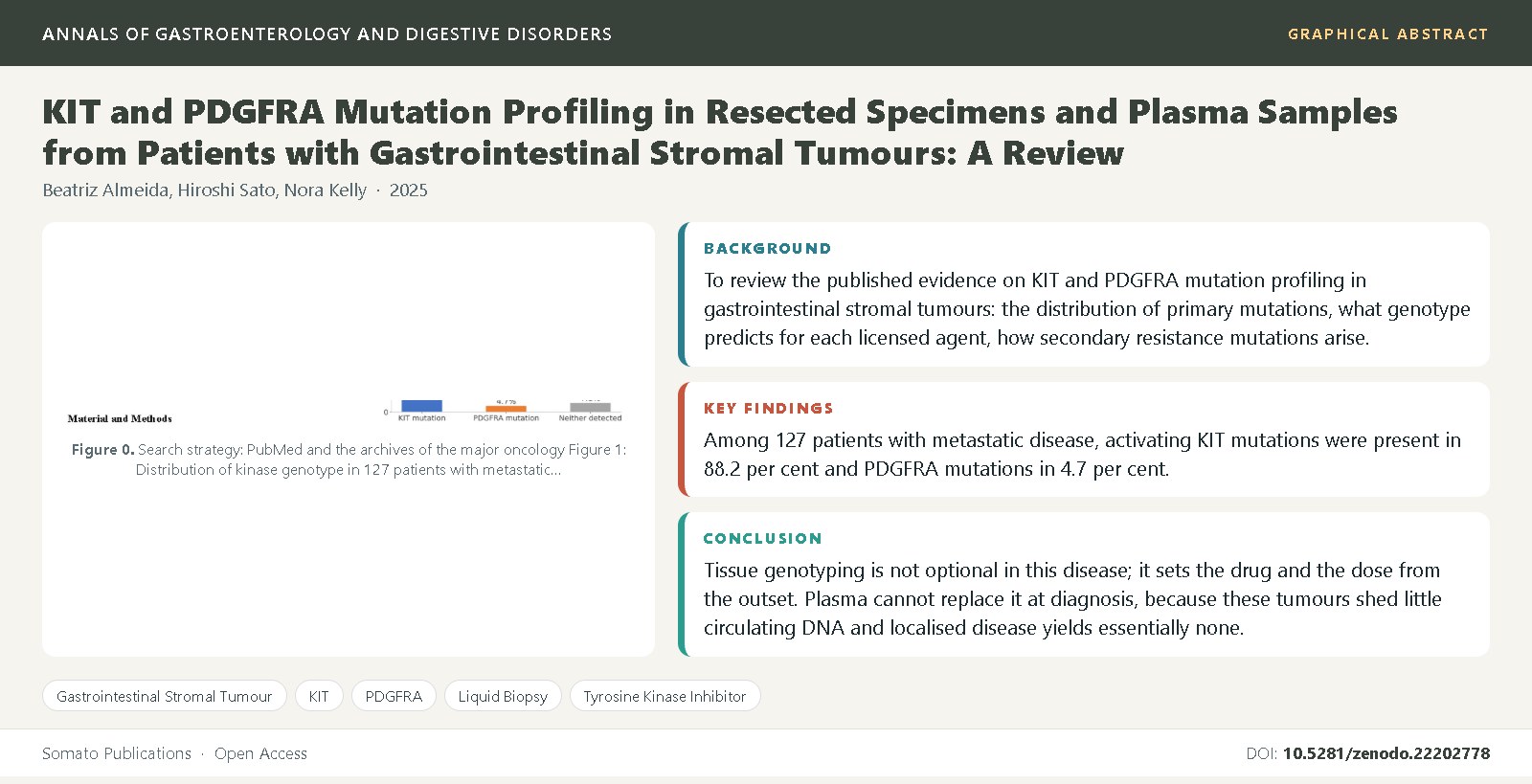 Graphical abstract