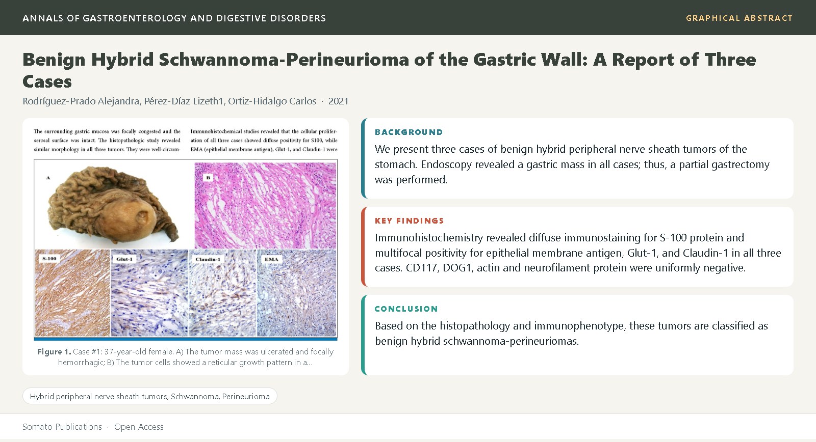 Graphical abstract