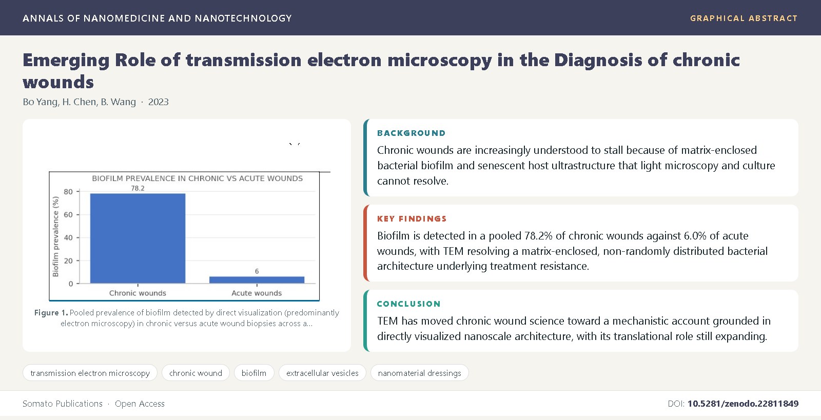 Graphical abstract