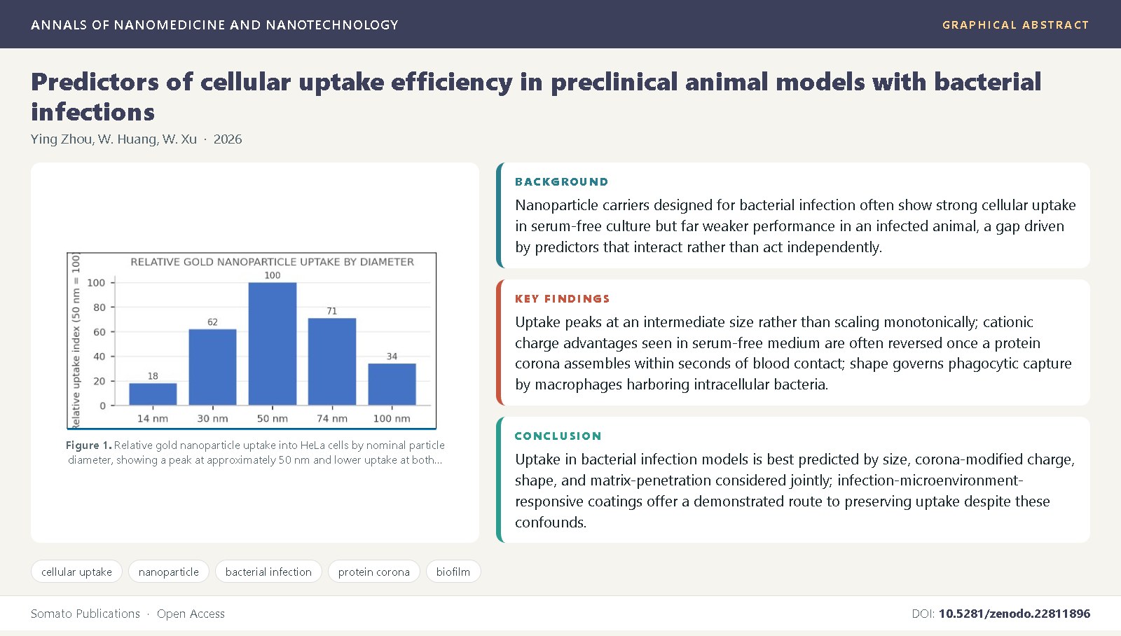 Graphical abstract