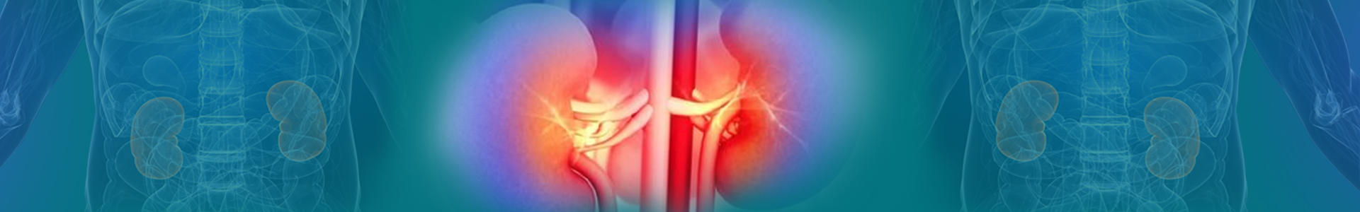 Archives of Nephrology banner