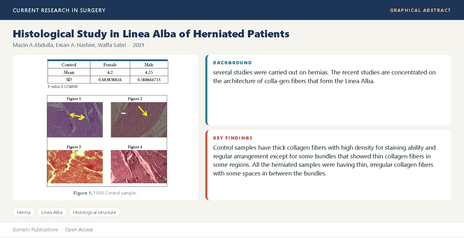 Graphical abstract