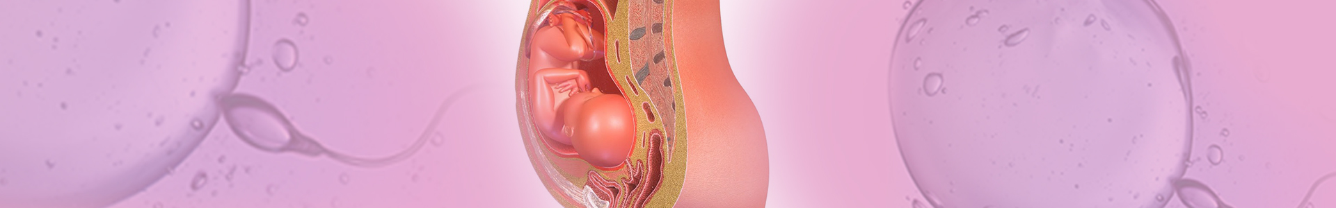 Global Research in Gynecology and Obstetrics banner