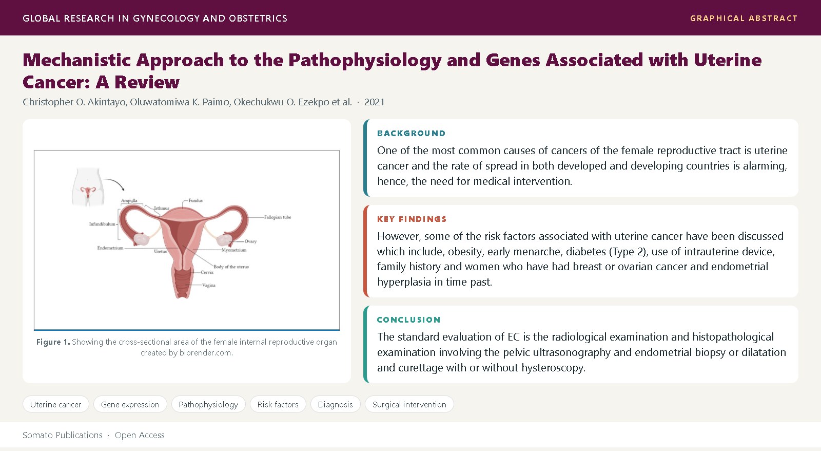 Graphical abstract
