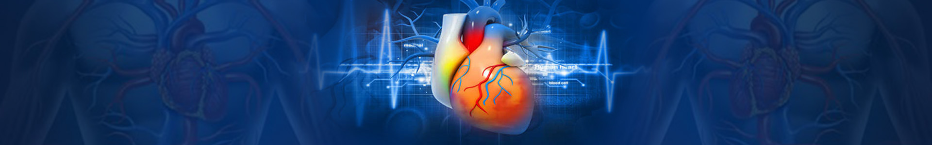 Journal of Heart and Cardiovascular Medicine banner