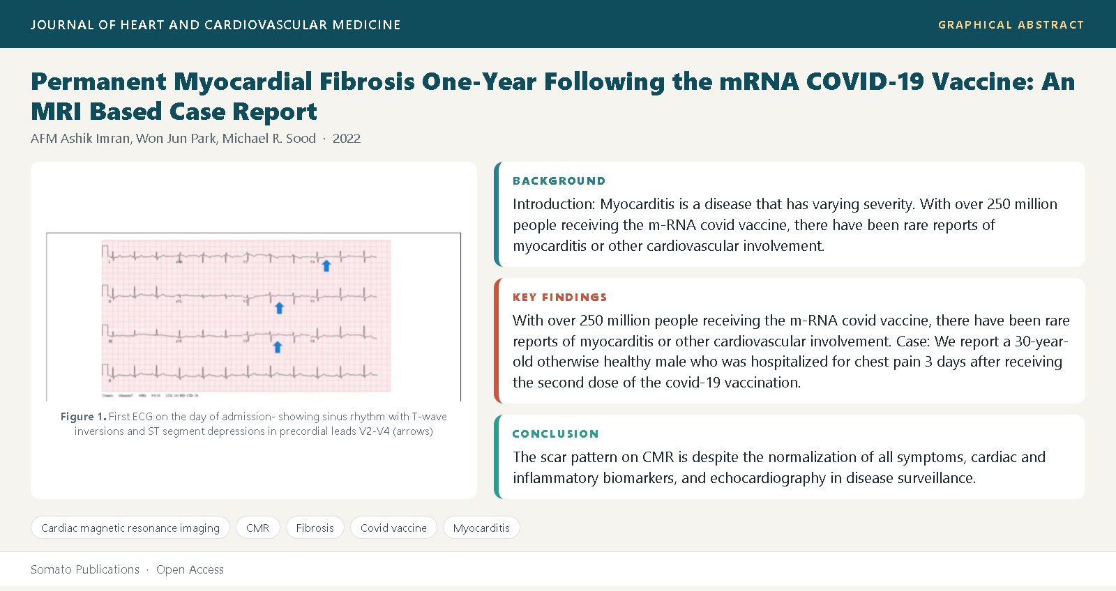 Graphical abstract
