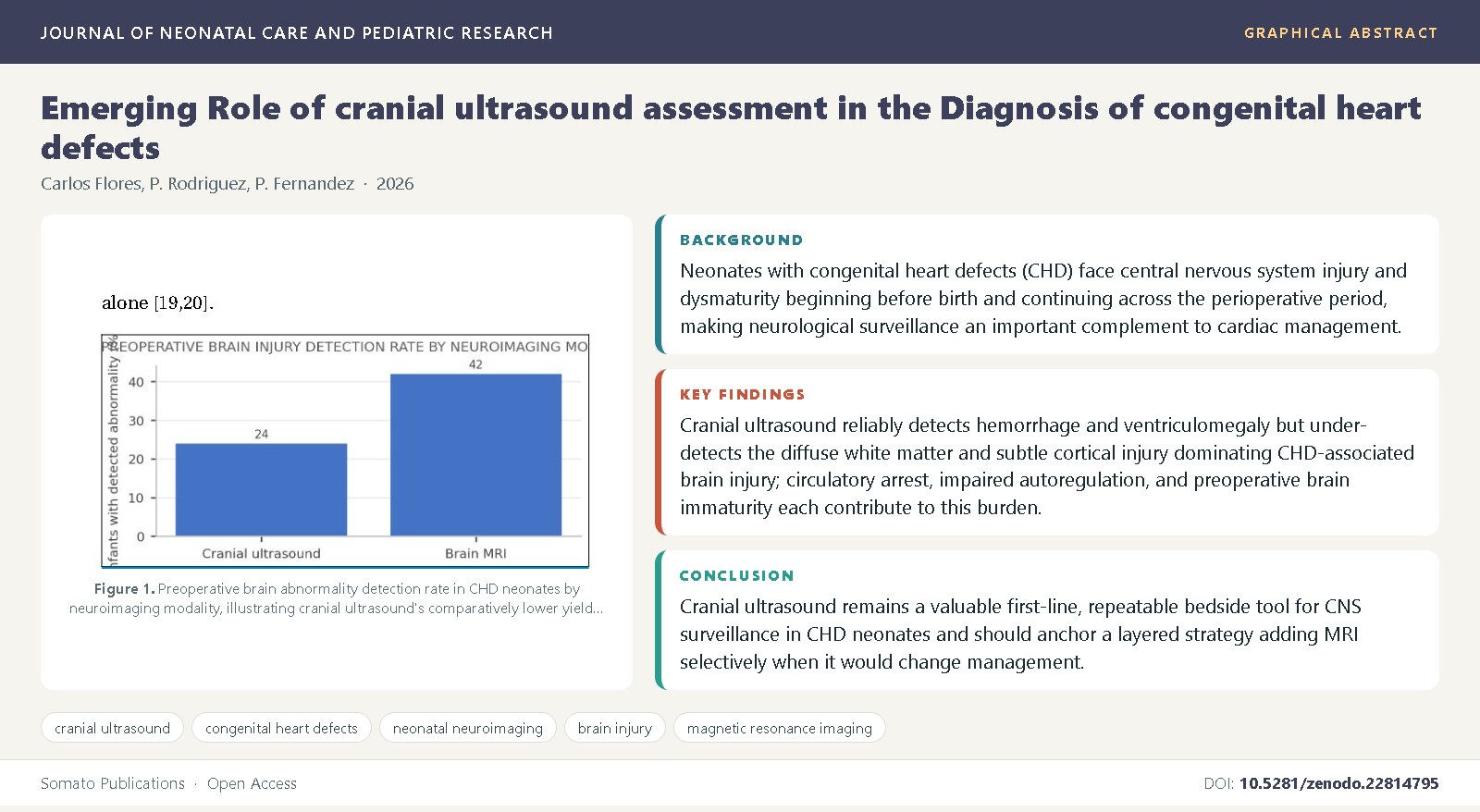 Graphical abstract