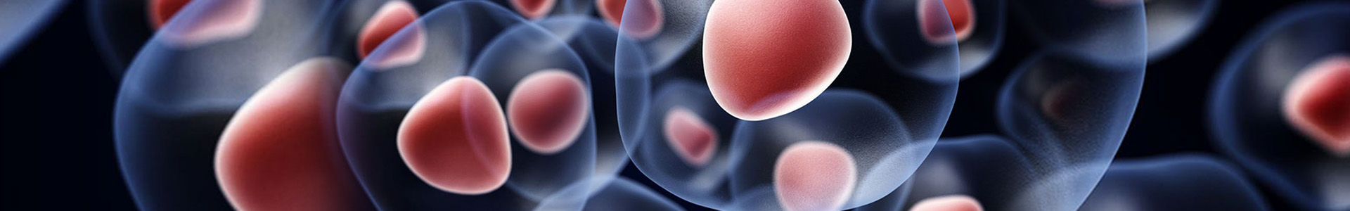 Annals of Stem Cell Research banner