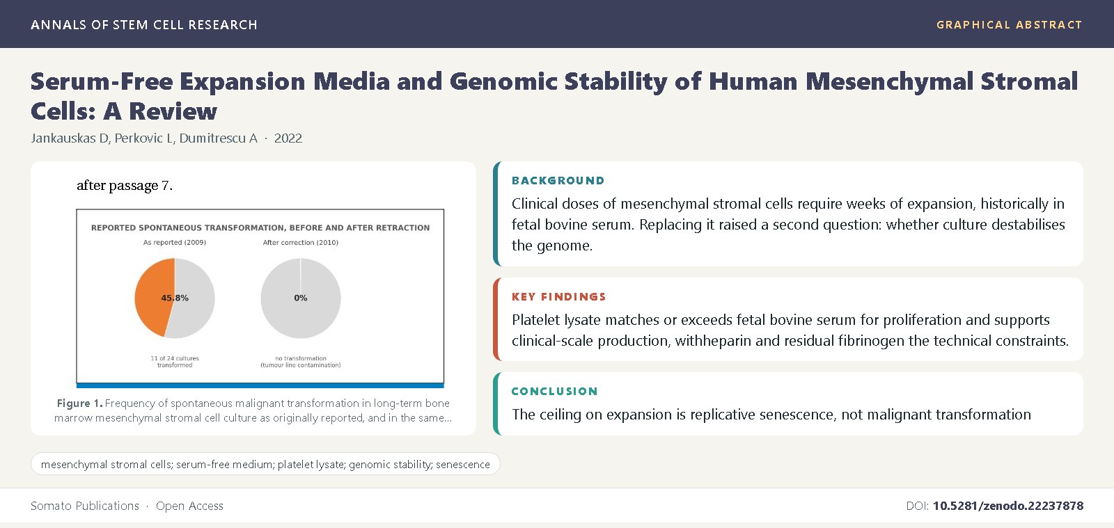 Graphical abstract