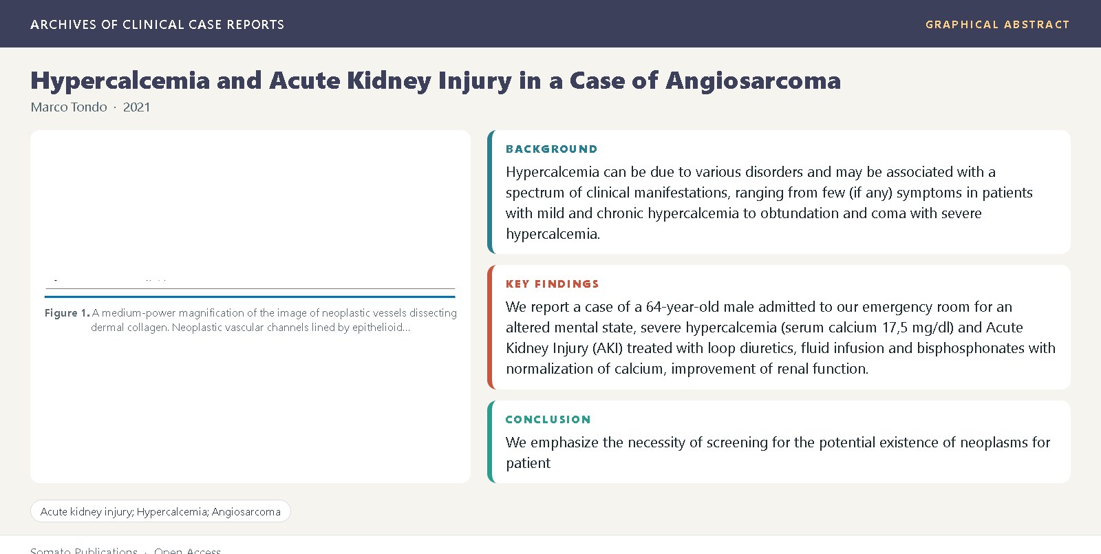 Graphical abstract