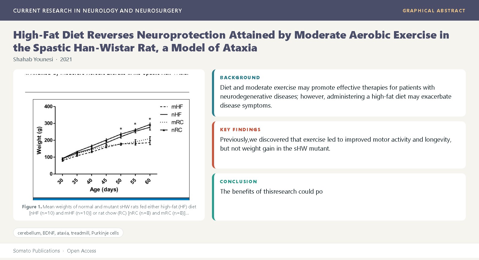 Graphical abstract