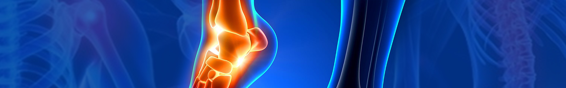 International Journal of Orthopedics banner