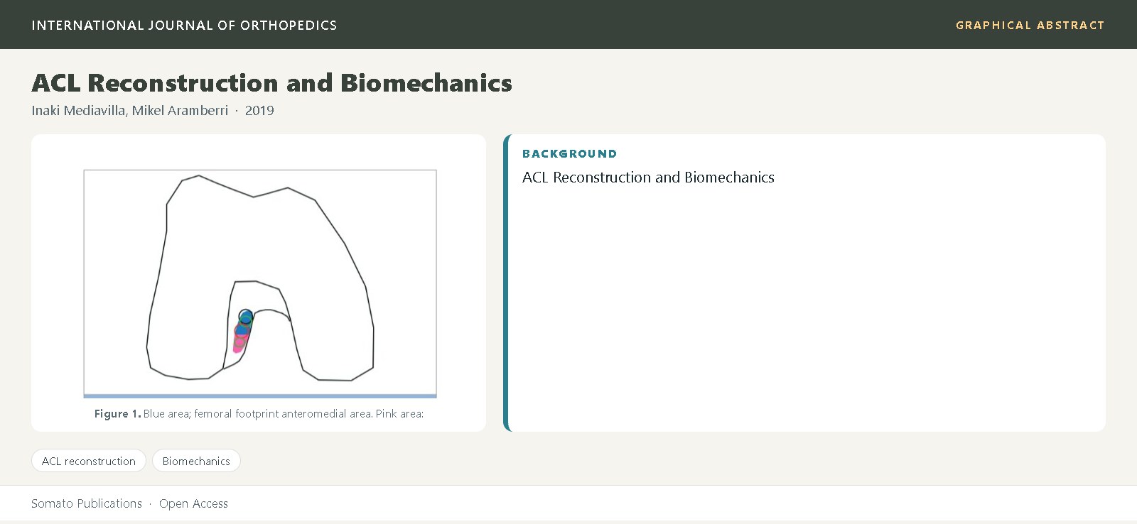 Graphical abstract