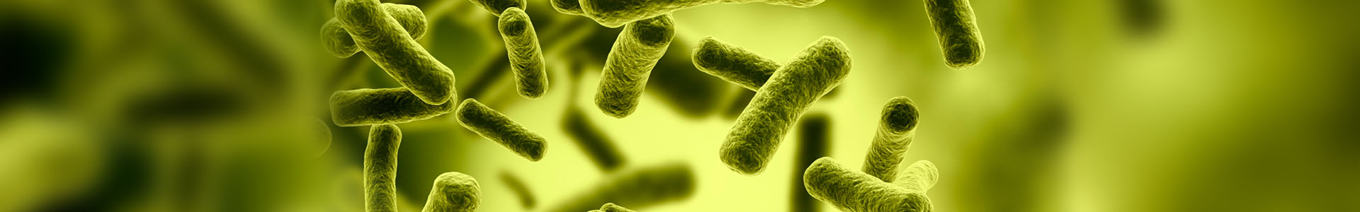 Annals of Infectious Diseases and Therapy banner